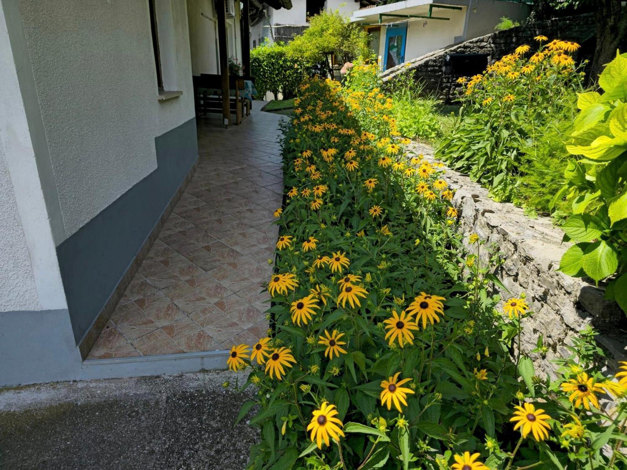 Holiday House Near The Soca River 托尔明 外观 照片