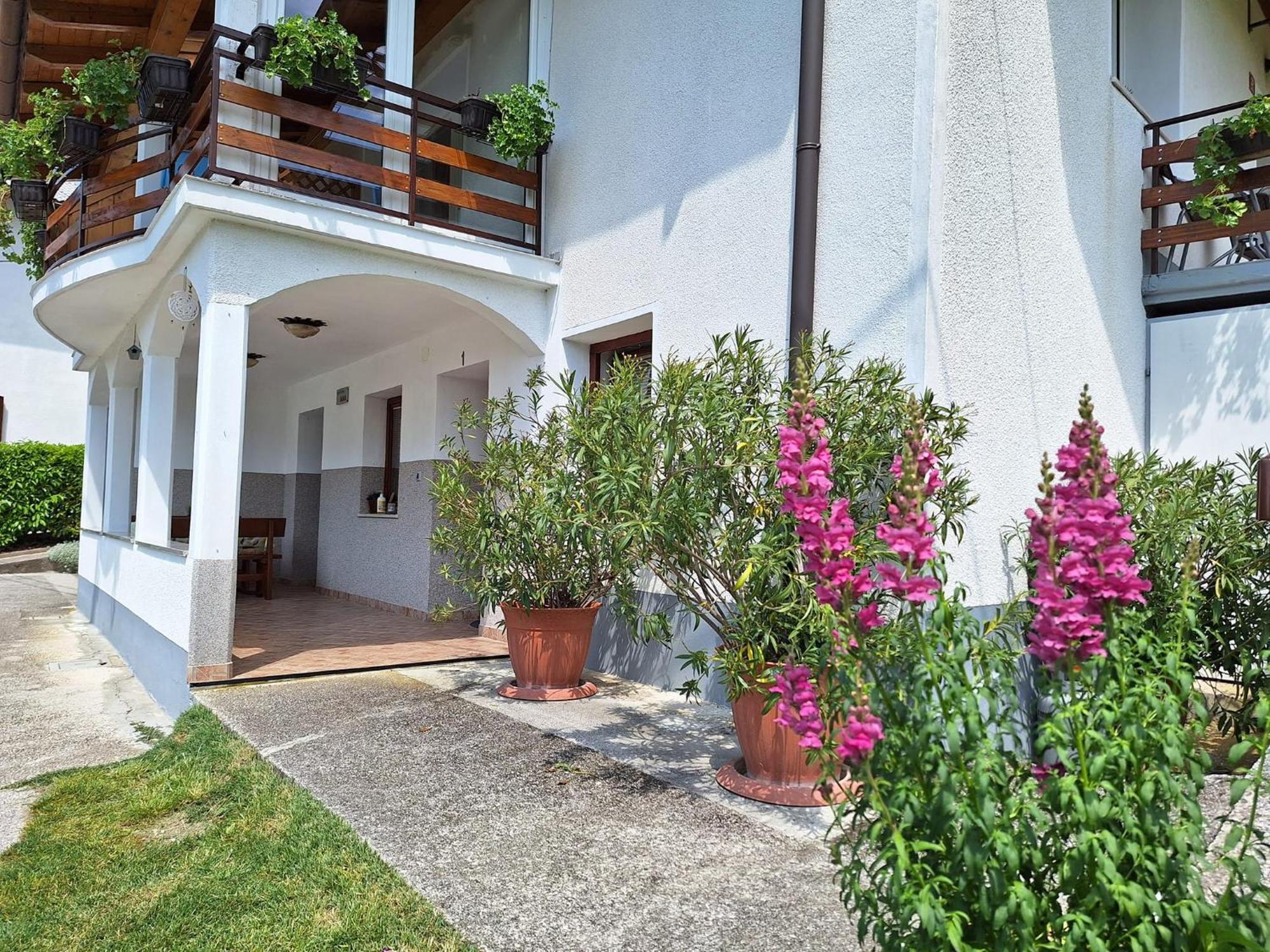 Holiday House Near The Soca River 托尔明 外观 照片